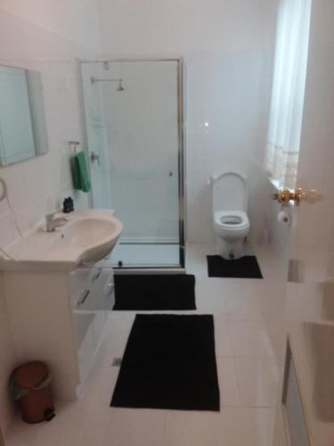 een badkamer met een wastafel, een douche en een toilet bij Hunters Hotel in Queenstown
