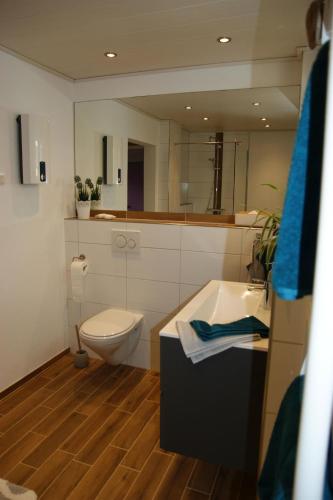 a bathroom with a toilet and a sink and a tub at Klein's Hochwaldscheune in Pellingen