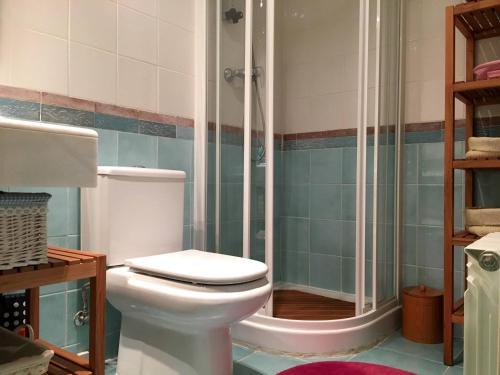 La salle de bains est pourvue d'une douche et de toilettes. dans l'établissement Coqueto Apto Con Vistas En Las Margas Golf n001, à Sabiñánigo