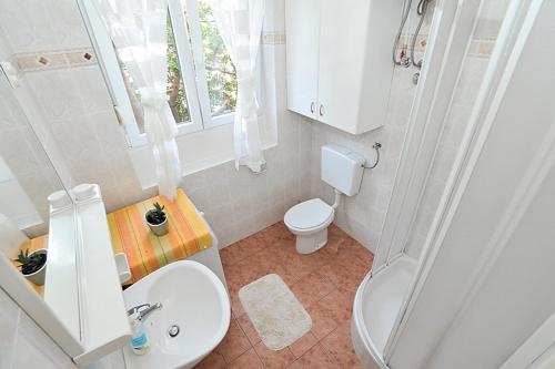 a bathroom with a sink and a toilet and a shower at Apartment in Poljana with sea view, terrace, air conditioning, WiFi 3617-1 in Poljana