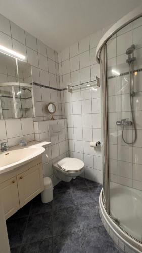 a bathroom with a sink and a toilet and a shower at Ferienwohnung am Kormoranweg in Dorum-Neufeld