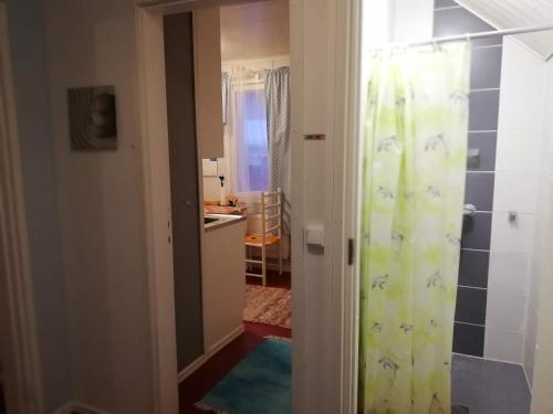 baño con cortina de ducha y cocina en Kodit Tuulikinkatu, en Mikkeli