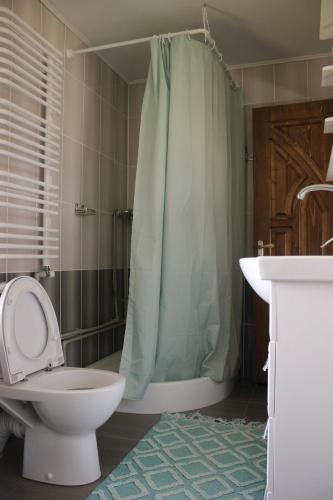a bathroom with a toilet and a shower and a sink at Чорногірський Вітер in Verkhovyna