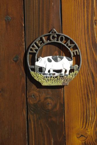 a door knocker with a cow on a wooden wall at La Casa Suites Albaredo di Rotzo in Albaredo