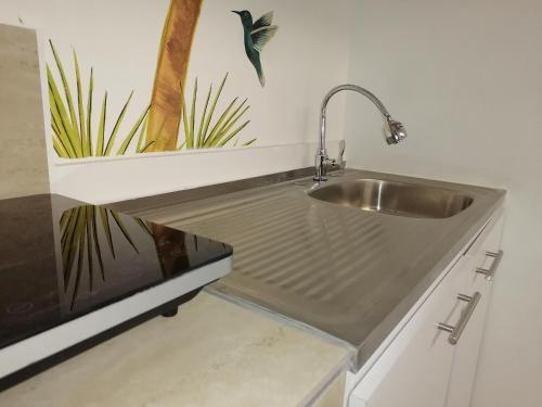 um lavatório de aço inoxidável numa cozinha com uma planta em Las Perlitas Rentals Playa Samara em Sámara