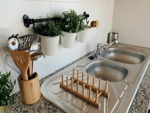 un lavello con piante in vaso su un bancone di Monte Azul Penthouse a Ribeira Grande