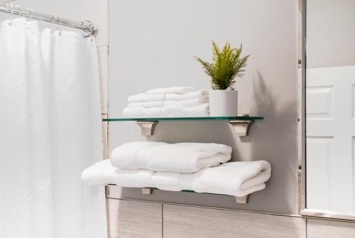uma pilha de toalhas numa prateleira na casa de banho em Lovely 2BR apartment by Wooster Square- great neighborhood em New Haven