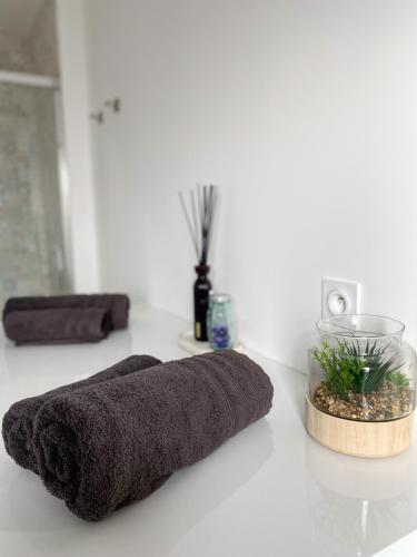 - un comptoir de salle de bains avec une serviette et un bol de plantes dans l'établissement Au Studio Pissarro, à Pontoise