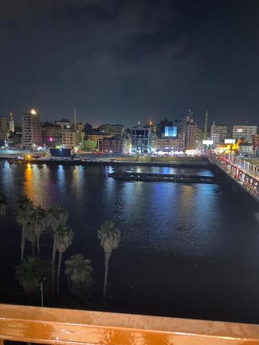 einen Fluss mit Palmen und eine Stadt in der Nacht in der Unterkunft شقة فندقية مميزة بالمنصورة in Ṭalkha