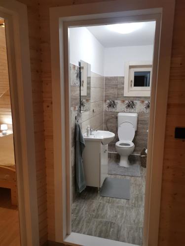 a bathroom with a toilet and a sink at Cabana Katica 2 vendégház in Borzont