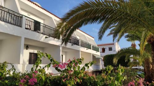 El Sol Chipeque, los cristianos estudio