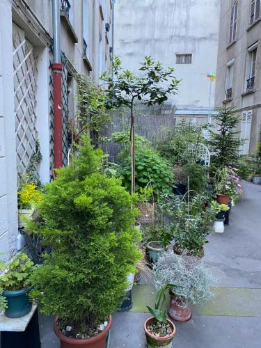 a bunch of potted plants in pots on a street at Appartement F2 - Paris 18 in Paris