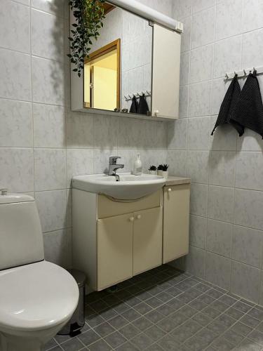 a bathroom with a sink and a toilet and a mirror at Tilava huoneisto in Saarijärvi