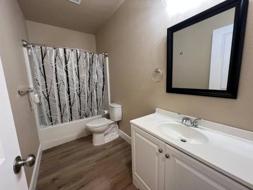 a bathroom with a sink and a toilet and a mirror at Freshly renovated home in a vintage neighborhood in Billings