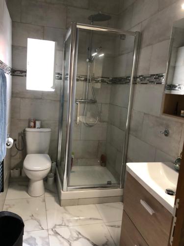 une salle de bain avec une douche, des toilettes et un lavabo dans l'établissement Nice Libération, à Nice