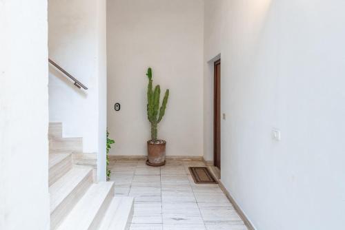 Фотография из галереи Rubichi 6 - Lecce Selection в Лечче