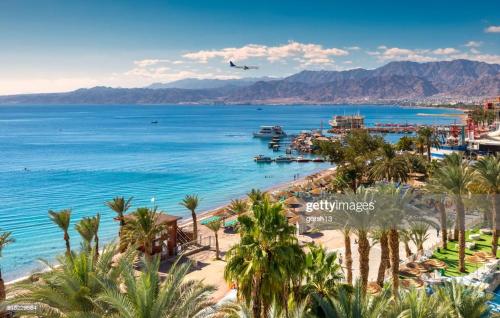 an airplane flies over a beach with palm trees at מישל נופש ,צופית תחתית 6003 in Eilat