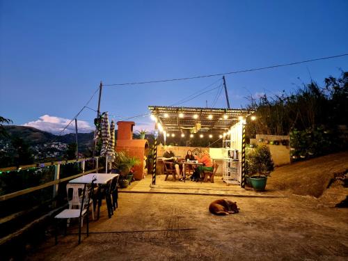 a dog laying on the ground in a patio at night at Wanay's Rocky Mountain Homestay in Baguio