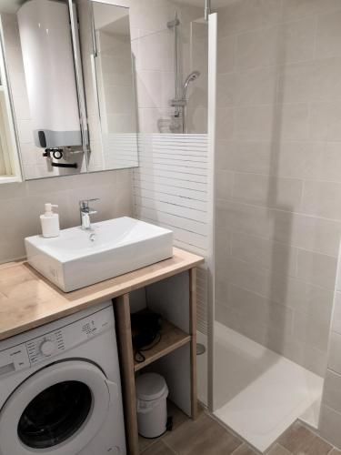une salle de bain avec un lavabo et une machine à laver dans l'établissement Deux pièces climatisé avec balcon Vieil Antibes, à Antibes