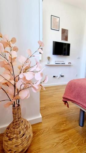 Glamour Dreaming Studio