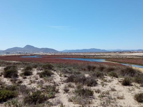 a river in the desert with mountains in the background at Cabañas ecológicas Tongoy in Tongoy