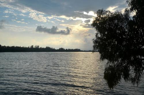 a view of a large body of water at River Dreams in Deltebre