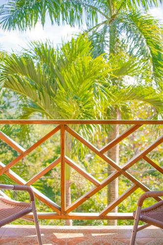 a pair of chairs sitting on a porch with palm trees at Bay View Eco Resort & Spa in Port Antonio