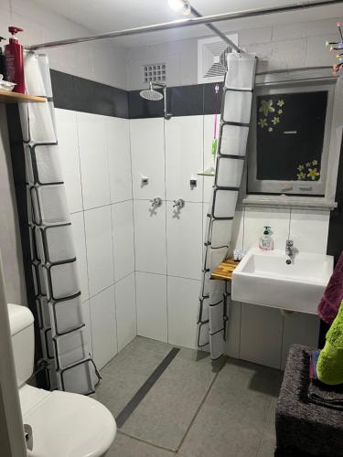 een badkamer met een douche, een wastafel en een toilet bij The downstairs delight 2brm , 6+ guests & dogs ok in Lake Munmorah