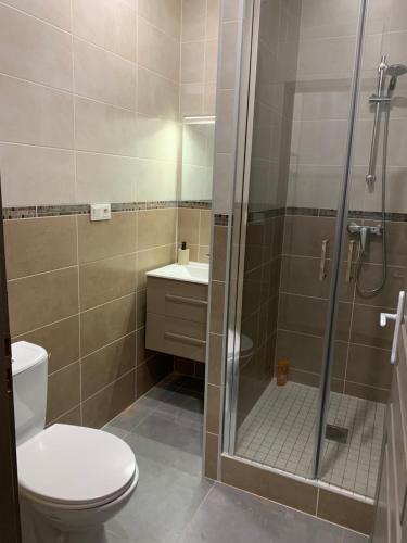 La salle de bains est pourvue d'une douche, de toilettes et d'un lavabo. dans l'établissement La CORSA CHAMBRE FAMILIALE DELUXE, à Narbonne