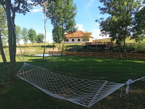 Κήπος έξω από το Apartamenty Mazury