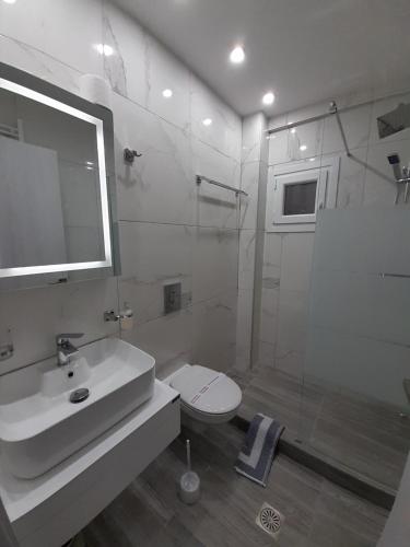 uma casa de banho com um WC, um lavatório e um chuveiro em K&K Luxury Loft Apartment em Serres