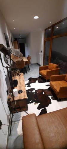 a living room filled with furniture and a floor with a rug at Nez sur la croisette. in Dinant