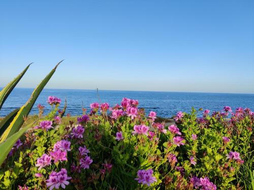 Vista al Mar, Ferienwohnung, Traumhafter Meerblick, Seaview photo 13