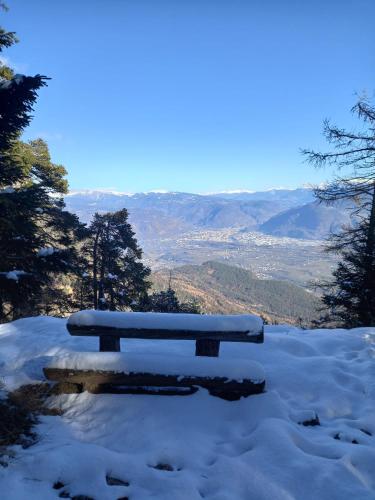 a bench covered in snow on top of a mountain at PanoramaHotel Penegal in Mendola