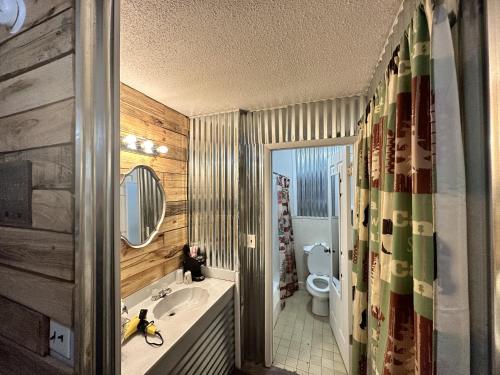 a bathroom with a sink and a toilet at Ski Mountain Lodge in Gatlinburg