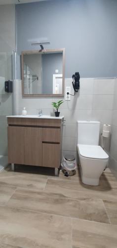 a bathroom with a toilet and a sink and a mirror at Apartamentos Las trece llaves Jacuzzi bajo reserva in Merida