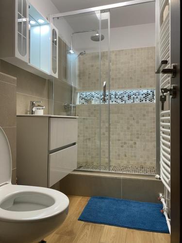 W łazience znajduje się prysznic, toaleta i niebieski dywan. w obiekcie Turquoise Studio Nerva Traian w Bukareszcie