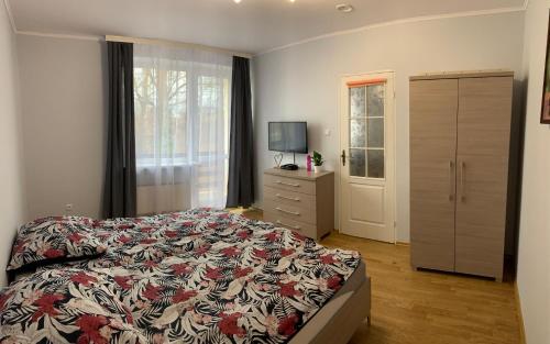 1 dormitorio con 1 cama, vestidor y ventana en Pokoje gościnne Pod Lwami, en Kudowa-Zdrój