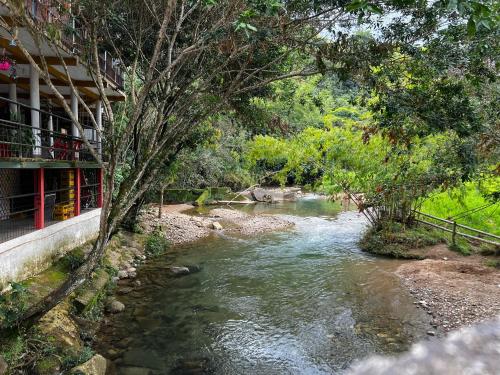 Gallery image of Ecohotel Las Pavas Norcasia Caldas in Norcasia