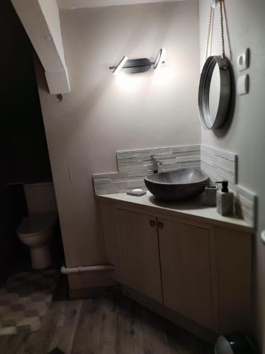 een badkamer met een wastafel en een spiegel op een aanrecht bij Location T2 Proche Annecy in Meythet