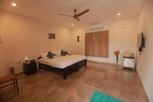 Atiya Ayurveda – Photos 2