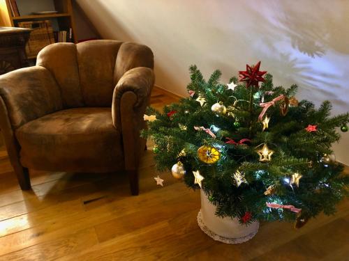 a christmas tree in a vase next to a chair at Apartments No.59 Loket in Loket
