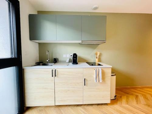 cocina con fregadero y encimera en Le Flachet - Climatisation - Wifi en Villeurbanne