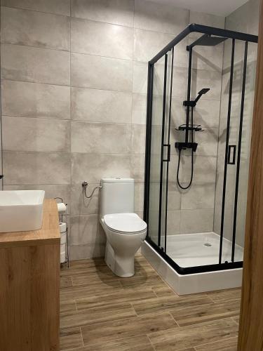 Apartamenty Sudetyにあるバスルーム