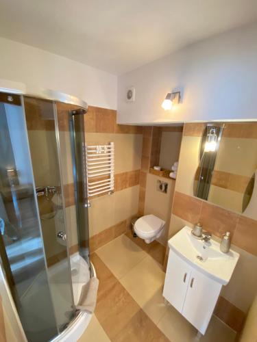 een badkamer met een douche, een toilet en een wastafel bij Domek Pod Lisem Szczawnica in Szczawnica