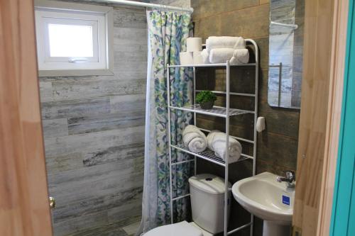 ein Bad mit einem WC und einem Waschbecken in der Unterkunft Anygus in Chile Chico