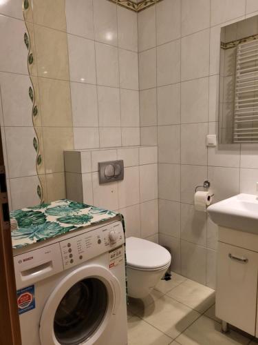 a bathroom with a washing machine and a toilet at Sunny Apartment - Bliżej Zdroju in Polanica-Zdrój