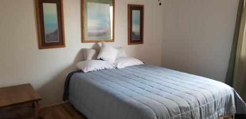 een slaapkamer met een bed met 2 kussens erop bij Panoramic Lake View, Lake Isabella in Wofford Heights