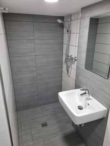 y baño con lavabo y ducha. en Eco Apartment Cölbe, en Cölbe