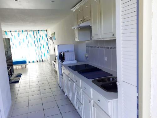 Køkken eller tekøkken på Cozy studio with lake view - 40 m² - Saint Martin